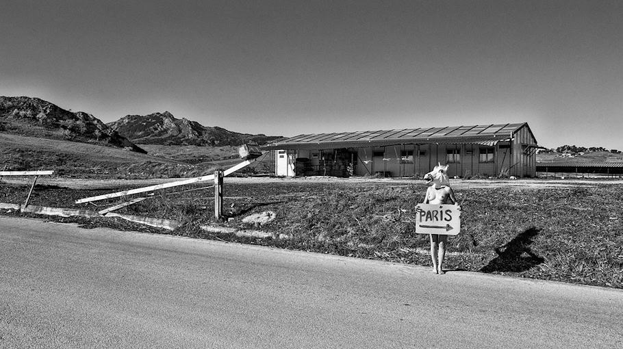 21-Jähriger entblößt sich nach Übergriff in OT Zentrum