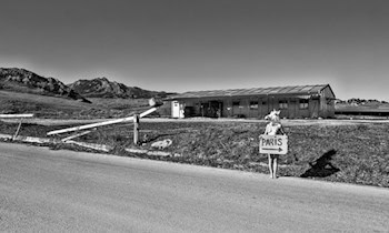 21-Jähriger entblößt sich nach Übergriff in OT Zentrum