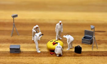 Ermittlungen wegen Tötungsdelikt in Bernsdorf