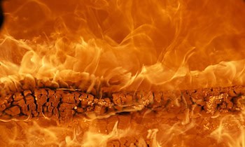 Wohnungsbrand in Dresden-Pieschen: Mieterin verletzt