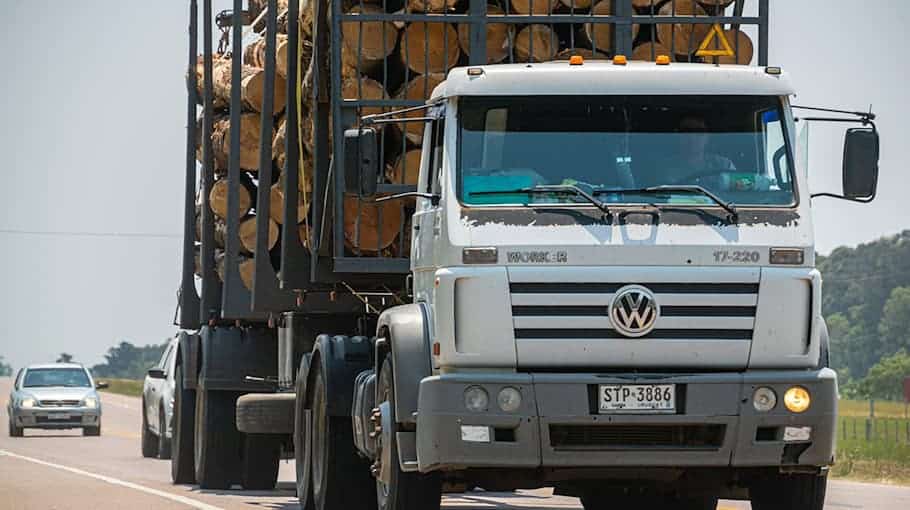 Lkw stößt Tunnelampel um und flüchtet