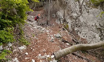 Blindgänger verletzt zwei Polizeibeamte in Leipzig