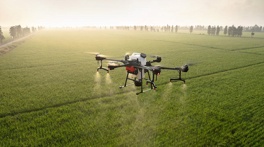 Fünf Jugendliche wegen Drogenhandels in Altchemnitz