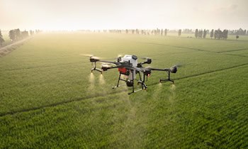 Fünf Jugendliche wegen Drogenhandels in Altchemnitz