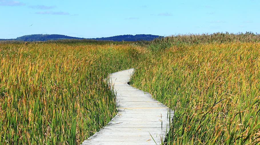 Zeugenaufruf nach Vorfall auf Gehweg