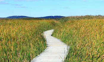 Zeugenaufruf nach Vorfall auf Gehweg