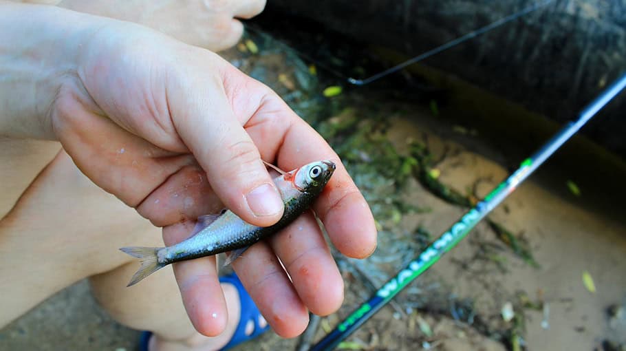 Betrug beim Online-Verkauf in Burkau