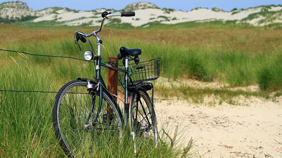 BBF-Damenrad in Hoyerswerda gestohlen