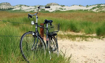 BBF-Damenrad in Hoyerswerda gestohlen