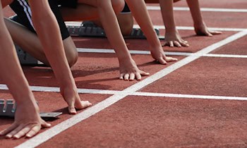 Zwei Mercedes Sprinter gestohlen in Ottendorf-Okrilla