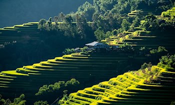 Diebstahl von Farben und Lacken in Rothenburg/O.L.