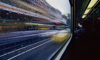 Linienbus kollidiert mit Reh bei Rathmannsdorf