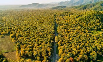 Derby: BSG Chemie Leipzig gegen Hallescher FC