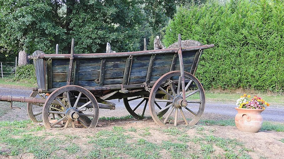 Pferd ging durch: Kutschenunfall bei Radebeul