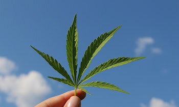 Drogenfunde und Platzverweise im OT Zentrum