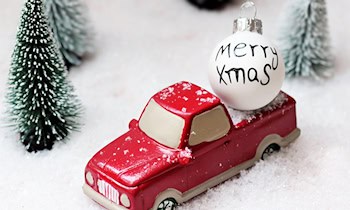 Dodge RAM 1500 von Firmengelände in Schwarzbach gestohlen