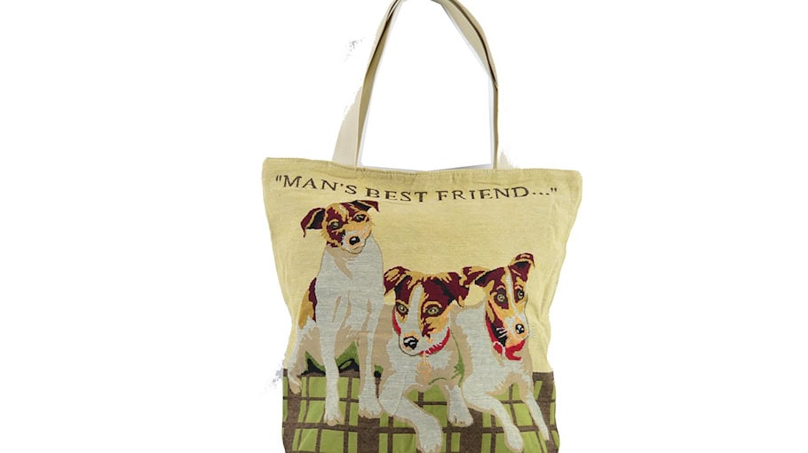 Handtasche aus Auto gestohlen in Dresden-Meußlitz