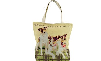 Handtasche aus Auto gestohlen in Dresden-Meußlitz