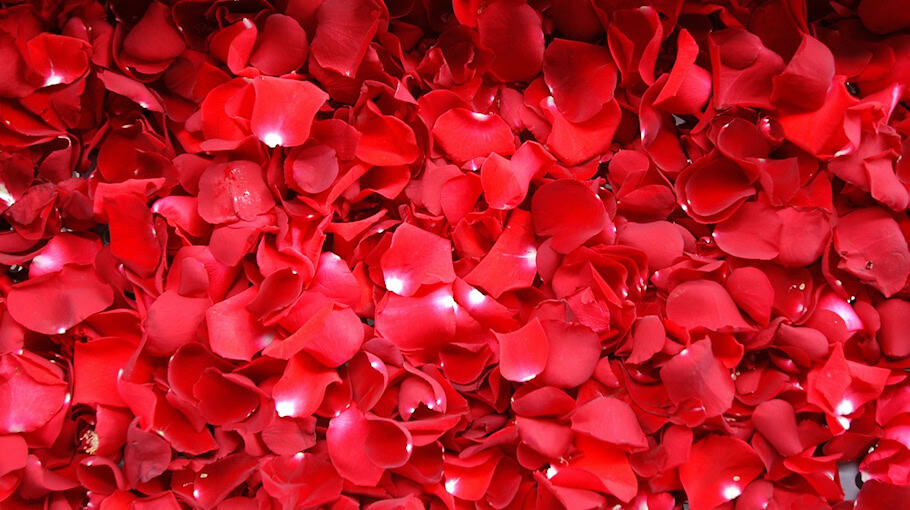 Zahlreiche Unfälle durch Glätte im Landkreis Meißen