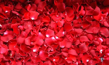 Zahlreiche Unfälle durch Glätte im Landkreis Meißen