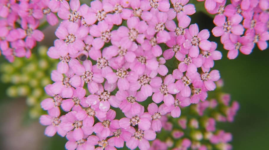 Einbruch in Gartenlaube in Freital-Niederhäslich