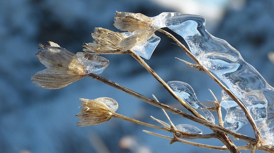Unfall durch Blitzeis in der Forsthofstraße