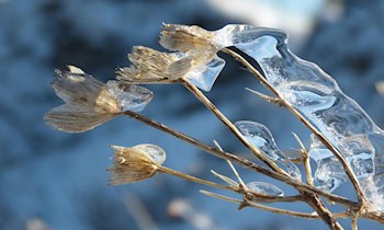 Unfall durch Blitzeis in der Forsthofstraße