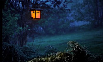 Einbruch in Schule in Dresden-Kleinpestitz