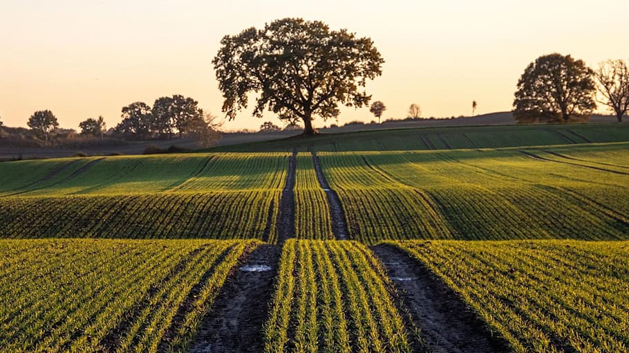 Traktordiebstahl auf Firmengelände bei Elstra
