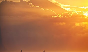 Senior verliert fast 50.000 Euro durch Phishing-Angriff