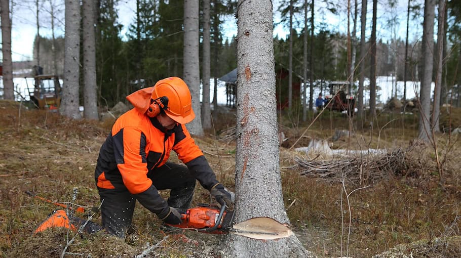 Einbruch in geparkten Opel in Oybin