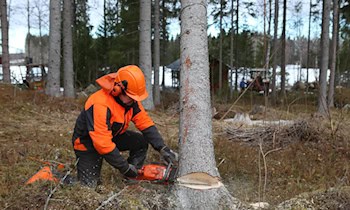 Einbruch in geparkten Opel in Oybin