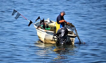 Außenbordmotor von Firmengelände an Robert-Berndt-Straße gestohlen