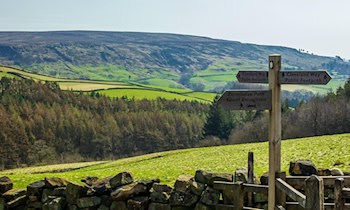 Wegweiser an K 8535 bei Kraußnitz gestohlen