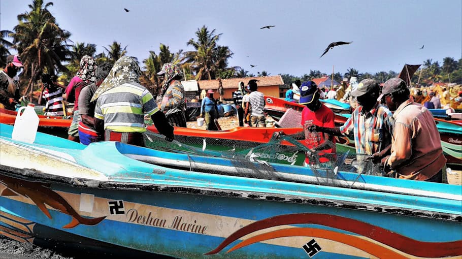 Hakenkreuz an Baum am Elberadweg in Riesa gesprüht