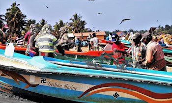 Hakenkreuz an Baum am Elberadweg in Riesa gesprüht