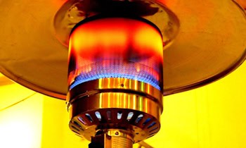 Diebstahl bei Faschingsveranstaltung in Wilkau-Haßlau