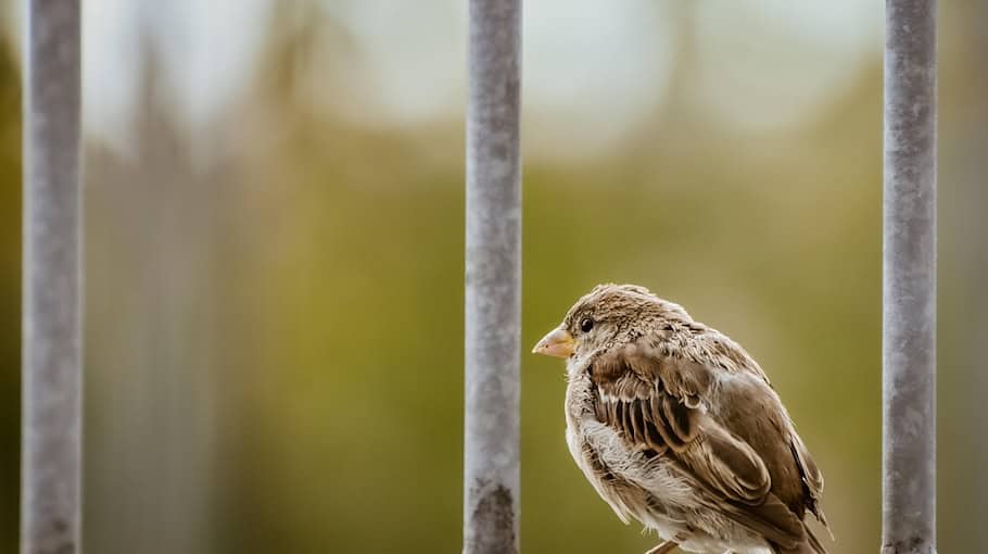 Versuchter Diebstahl von Metalllegierung in Gröditz