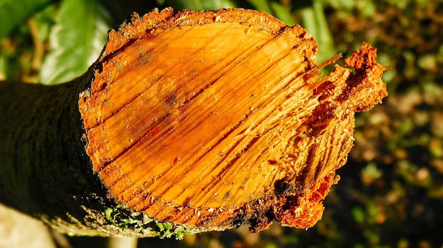 Einbruch in Laden: Kettensägen gestohlen in Tirpersdorf