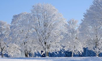 Wintereinbruch lässt Unfallzahlen steigen