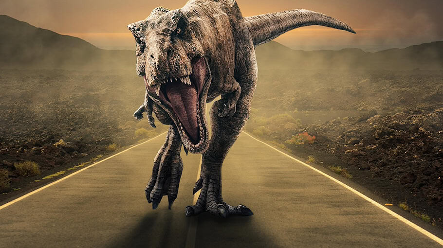 Zeuge nach schwerem Raub in Zittau gesucht