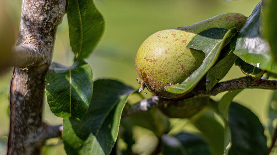 Feuer auf dem Dachboden in Bautzen