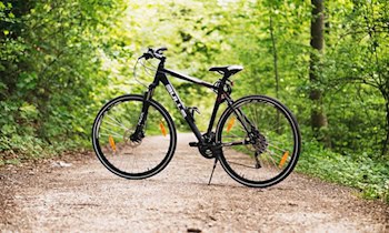 Kelleraufbrüche in Görlitz: Mountainbike im Wert von 600 Euro gestohlen