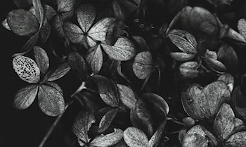 Medienservice: Korrekturhinweis zum Todesfall