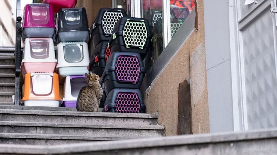 Nicht zugelassener Mercedes Sprinter in Lommatzsch gestoppt