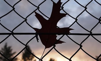 Unbekannter bedroht Imbissmitarbeiter und beschädigt Gerät in Pirna