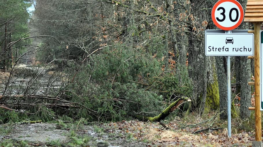 Tempokontrolle bei Grundschule in Großerkmannsdorf