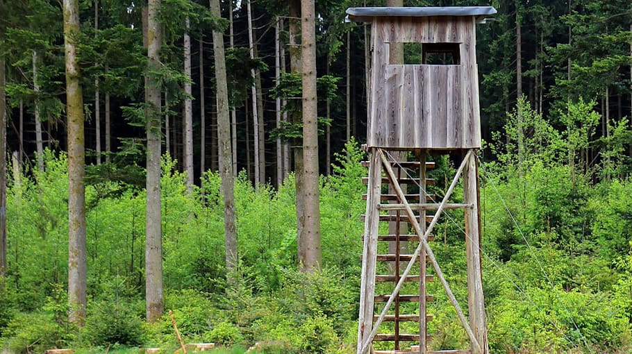 Zerstörte Hochsitze in Neißeaue