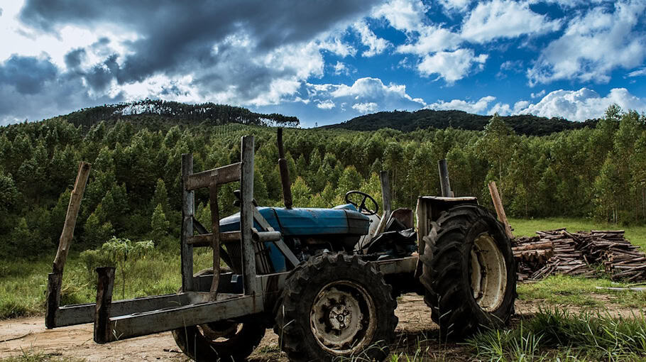 Rasentraktor aus Garage an Serkowitzer Straße gestohlen