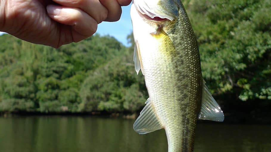 Seniorin verliert fast 90.000 Euro durch Phishing